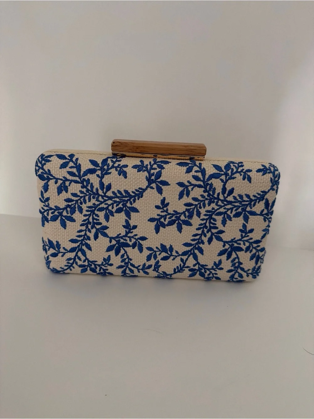 Shiraleah elegant clutch